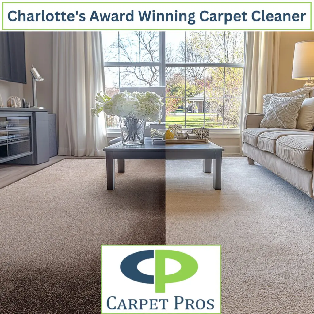 Carpet-cleaning-1024x1024